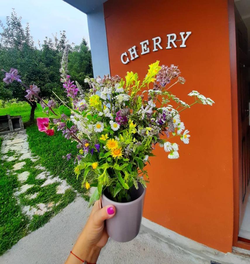 Apartman Cherry Gradac Valjevo Exterior foto